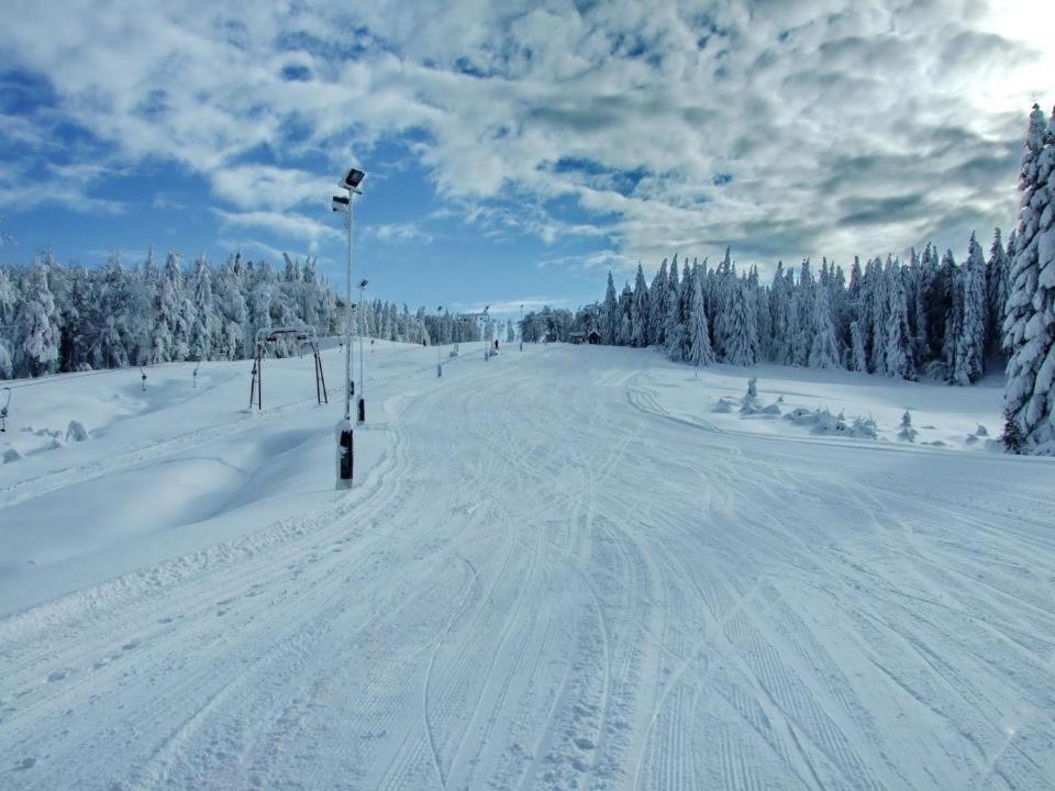 Hotel Superski Cavnic Bagian luar foto