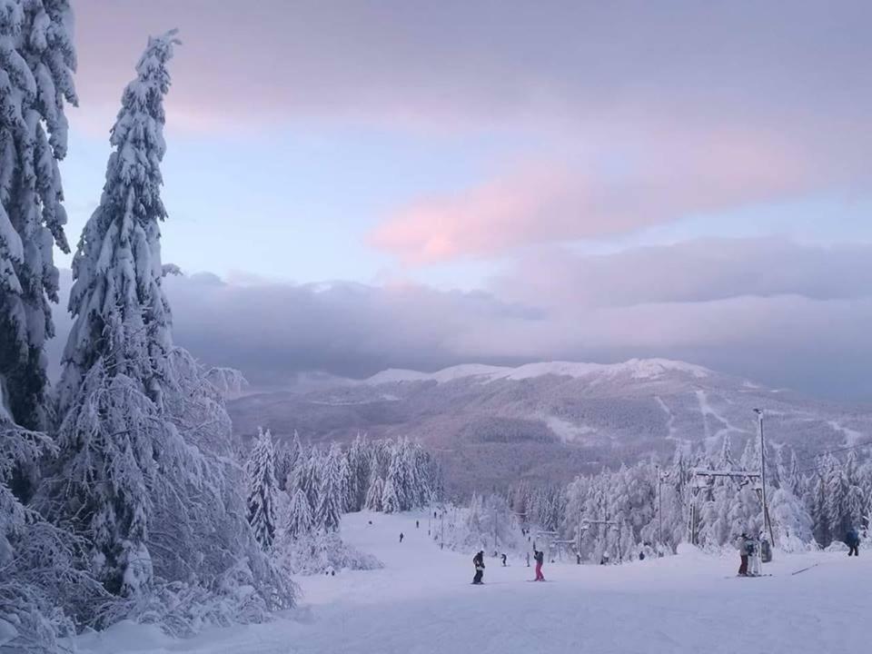 Hotel Superski Cavnic Bagian luar foto